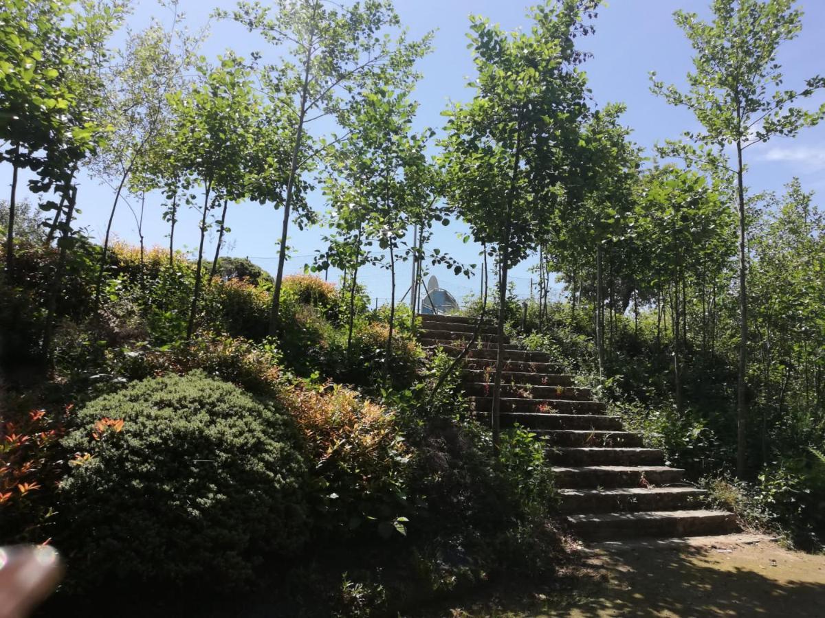 Albergue Camino Real ซิกวยโร ภายนอก รูปภาพ