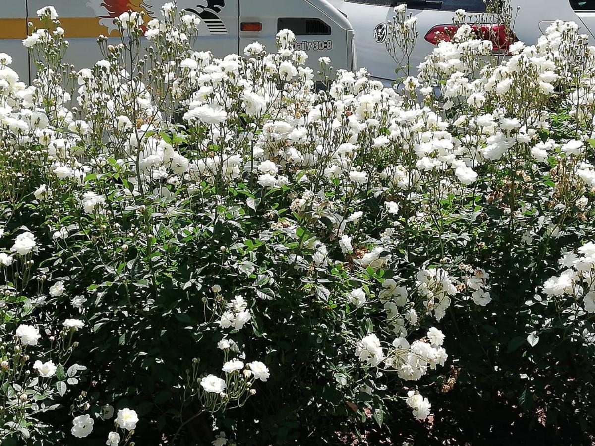 Albergue Camino Real ซิกวยโร ภายนอก รูปภาพ